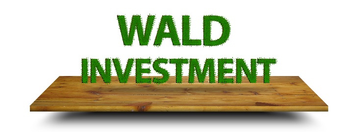 Waldinvestment